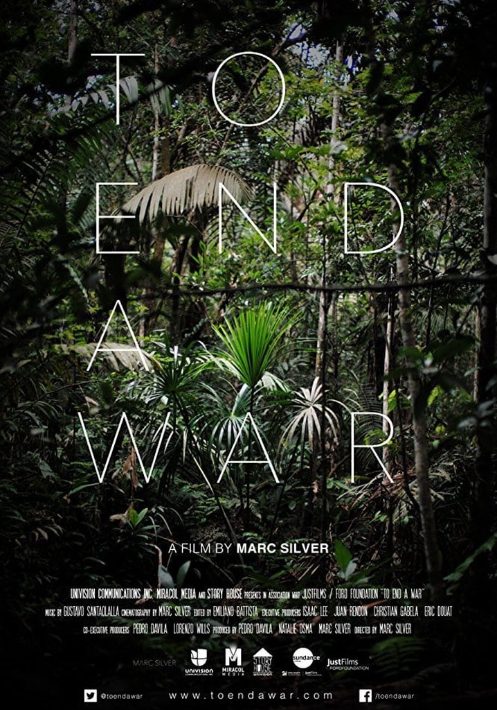 To End a War poster