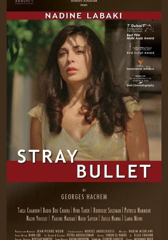 Stray Bullet poster