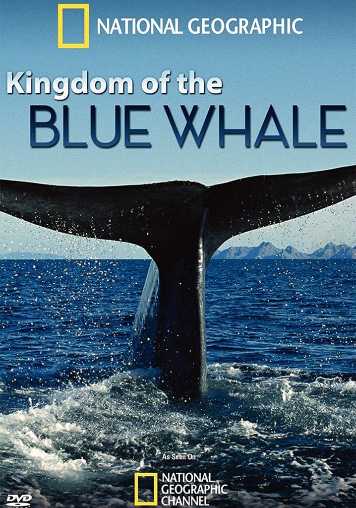 Kingdom of the Blue Whale poster
