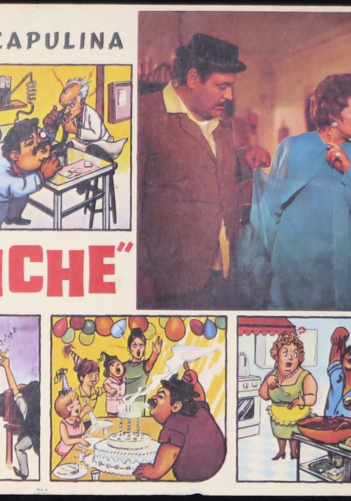 El metiche poster