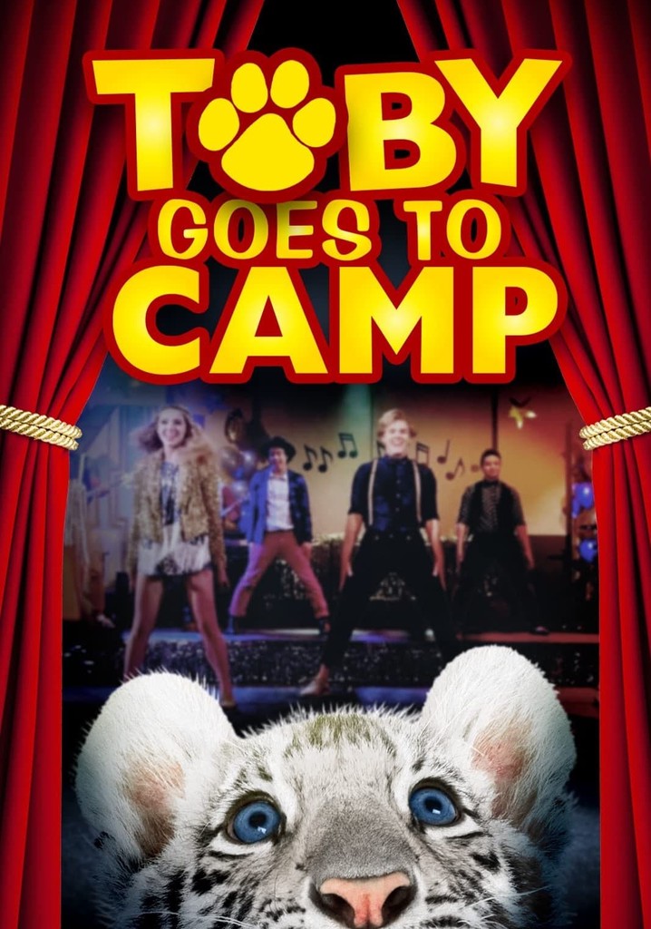 Toby Goes to Camp poster