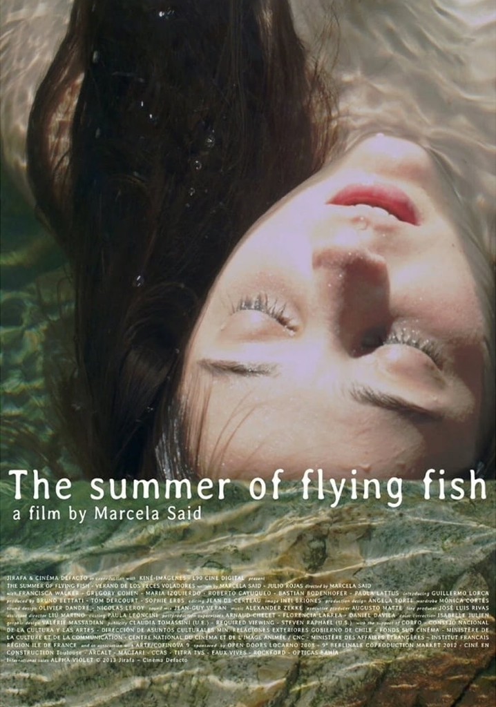 The Summer of Flying Fish poster