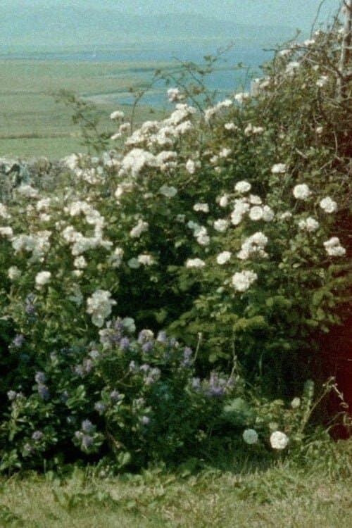 Glimpses from a Visit to Orkney in Summer 1995 poster