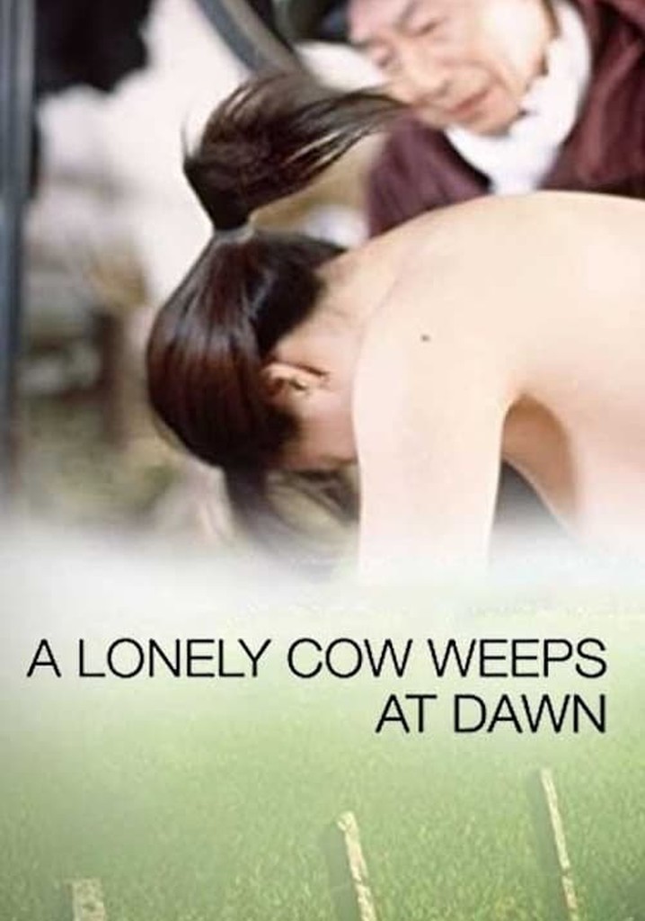 A Lonely Cow Weeps at Dawn poster