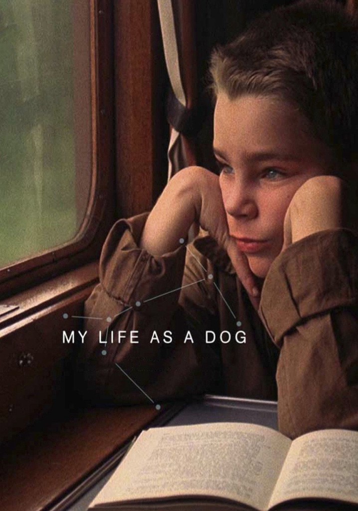 My Life as a Dog poster