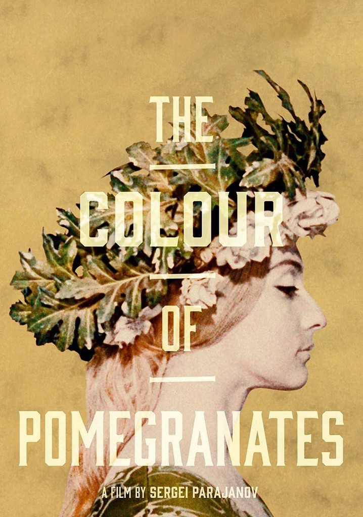 The Color of Pomegranates poster