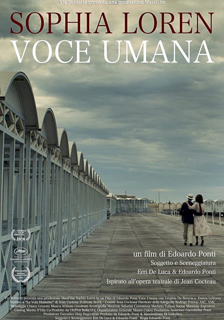 Human Voice poster