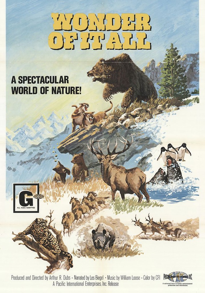 Wonder of It All poster