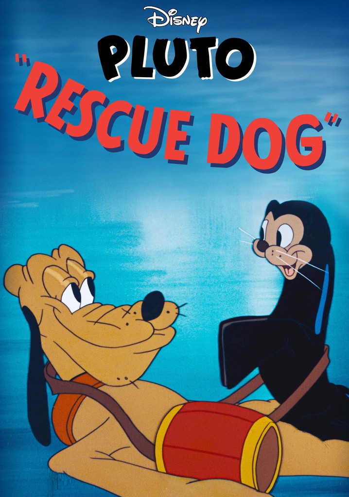 Rescue Dog poster