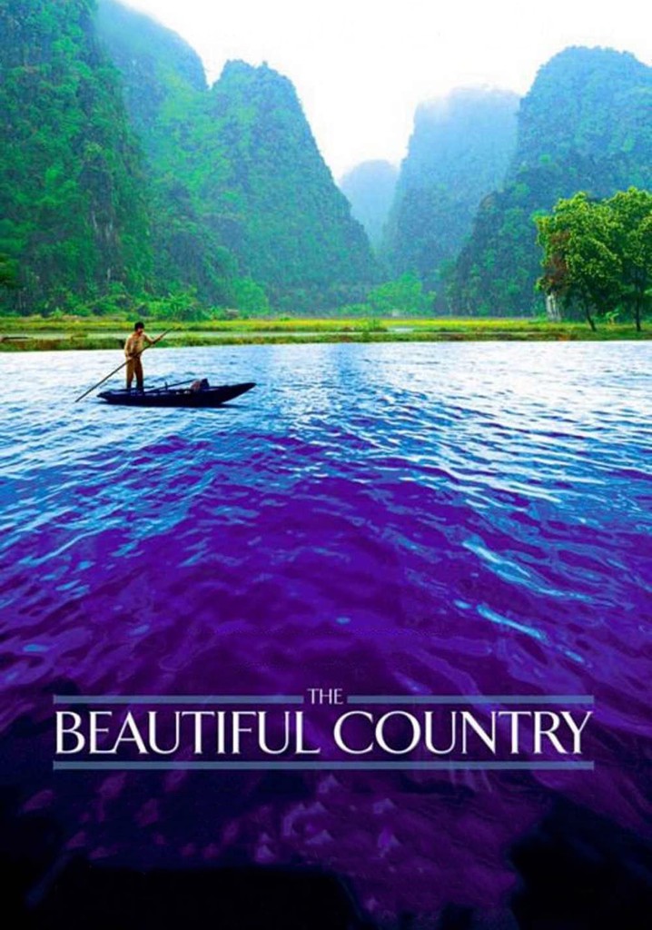 The Beautiful Country poster