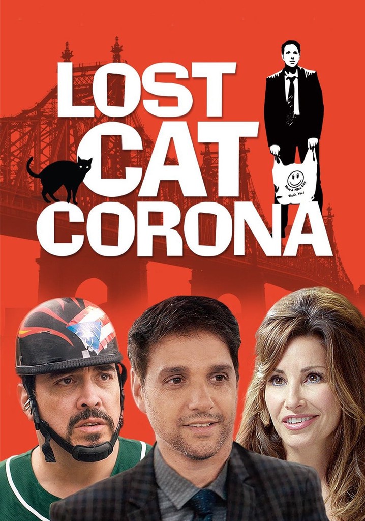 Lost Cat Corona poster