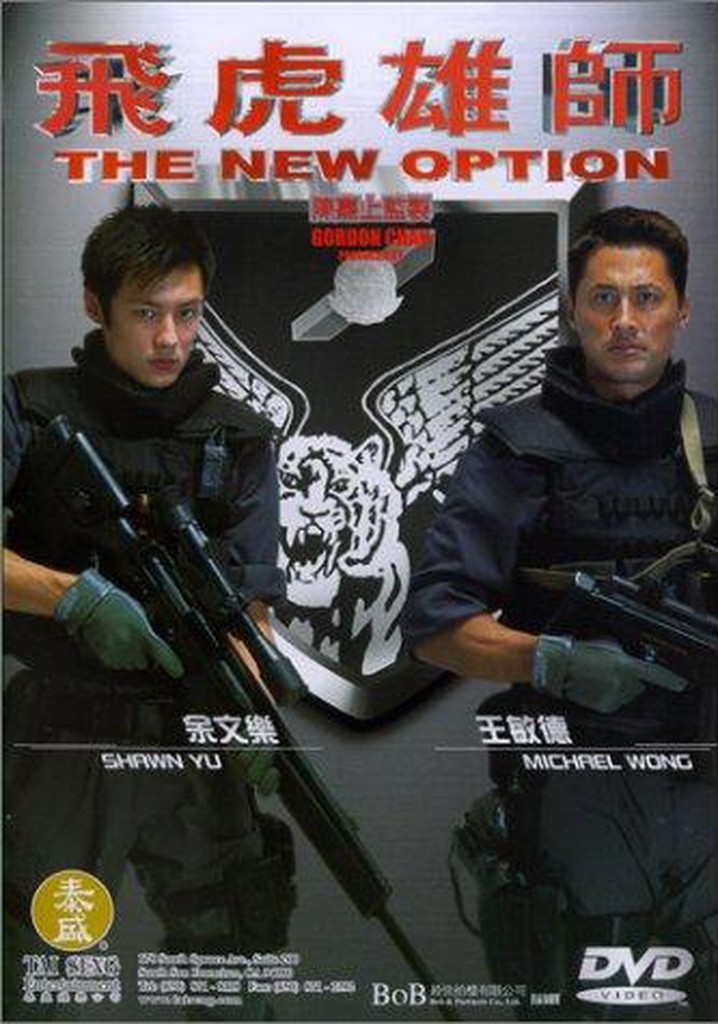 The New Option poster