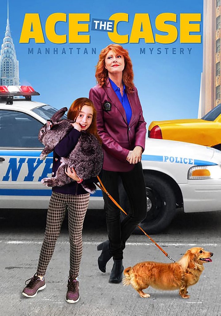 Ace the Case: Manhattan Mystery poster
