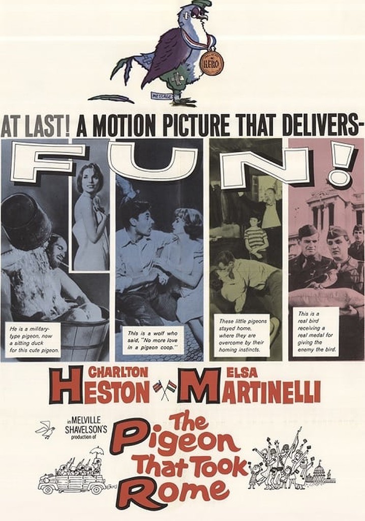 The Pigeon That Took Rome poster