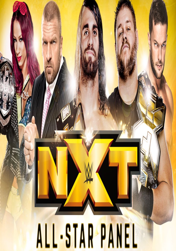 NXT All Star Panel poster