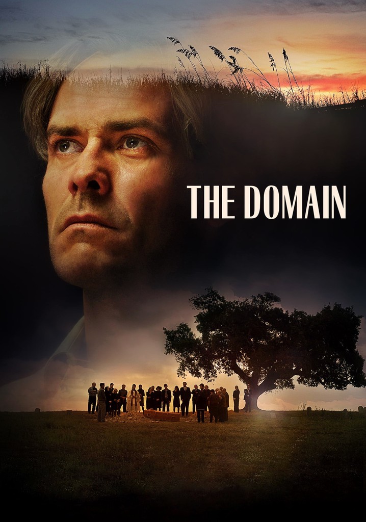 The Domain poster