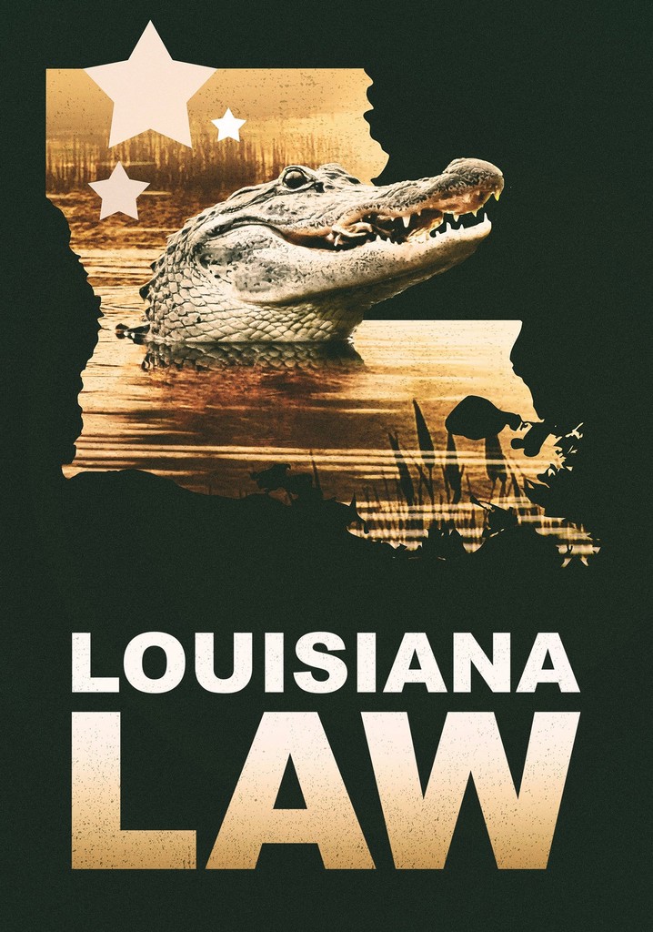 Louisiana Law poster