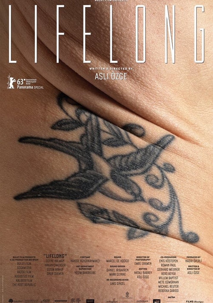 Lifelong poster