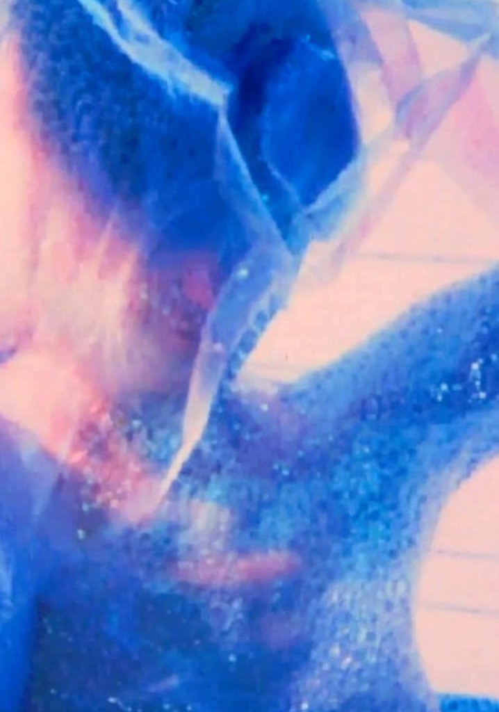 Turner poster