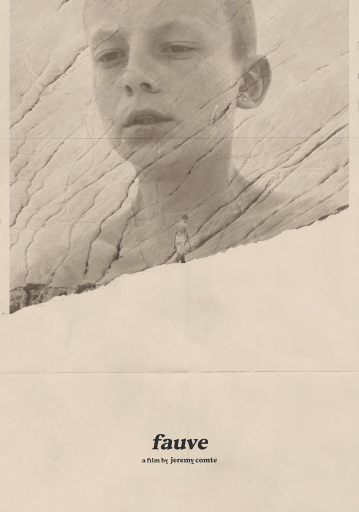 Fauve poster