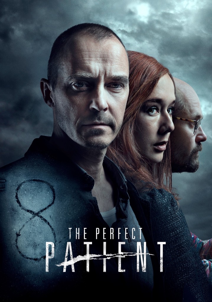 The Perfect Patient poster