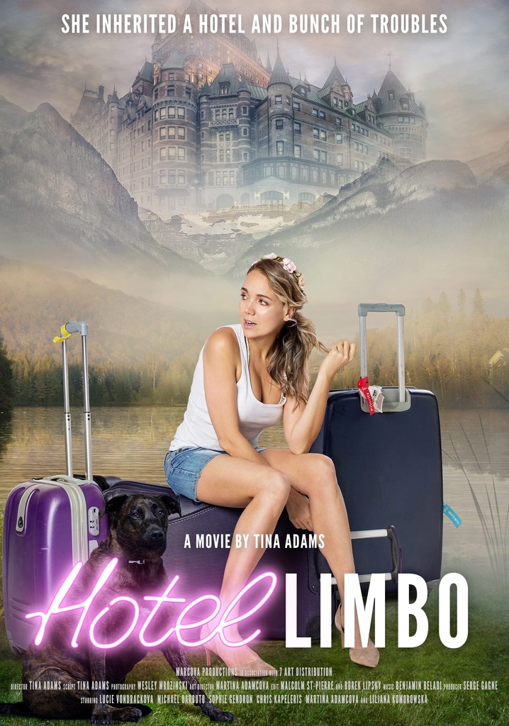 Hotel Limbo poster