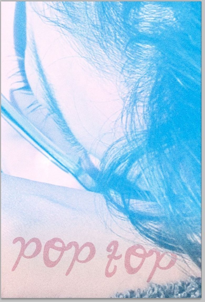 Pop Top poster