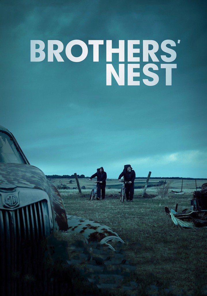 Brothers' Nest poster