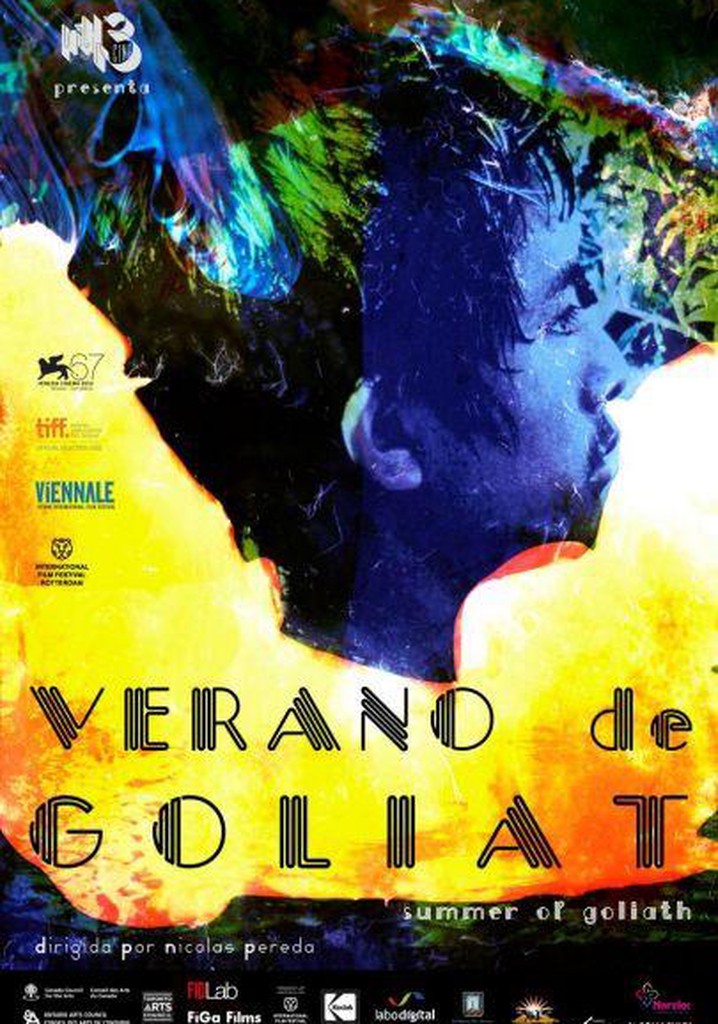 Summer of Goliath poster