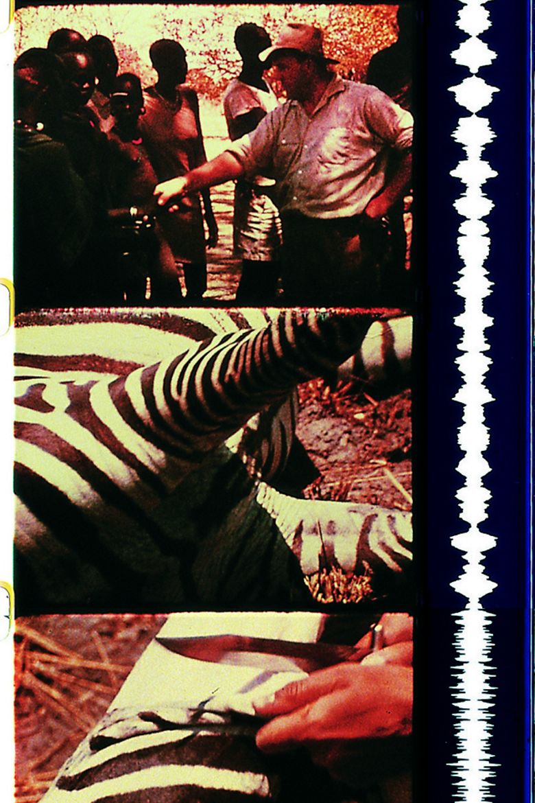 Our Trip to Africa poster