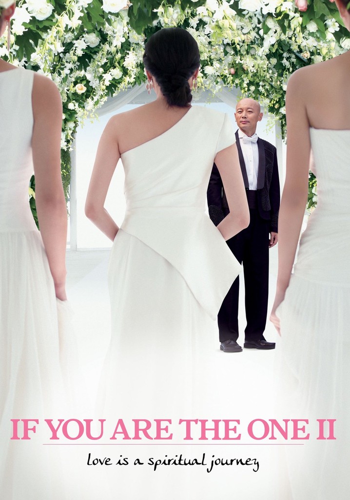 If You Are the One 2 poster
