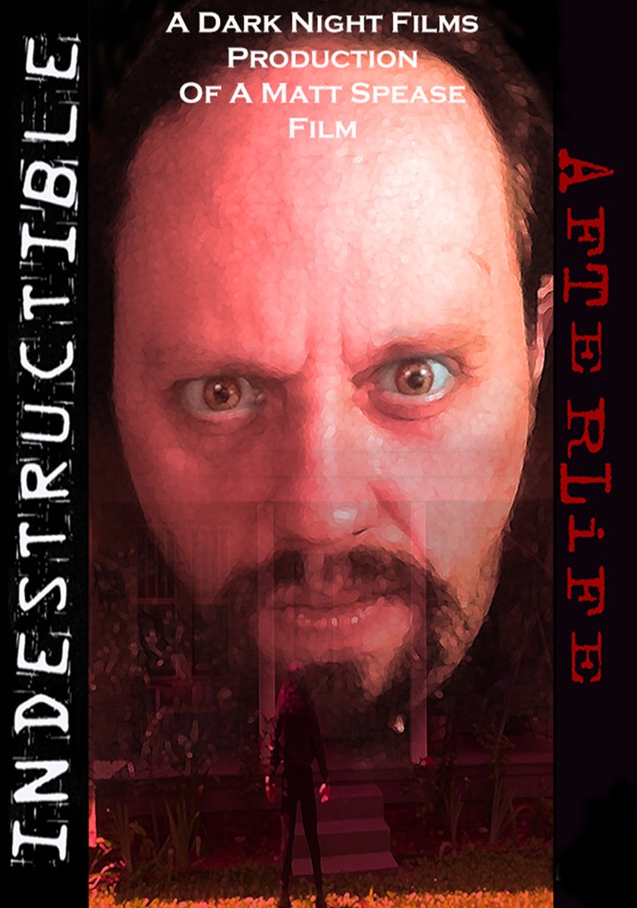 Indestructible: Afterlife poster