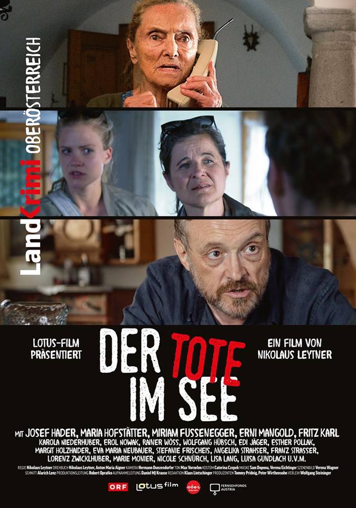Der Tote im See poster
