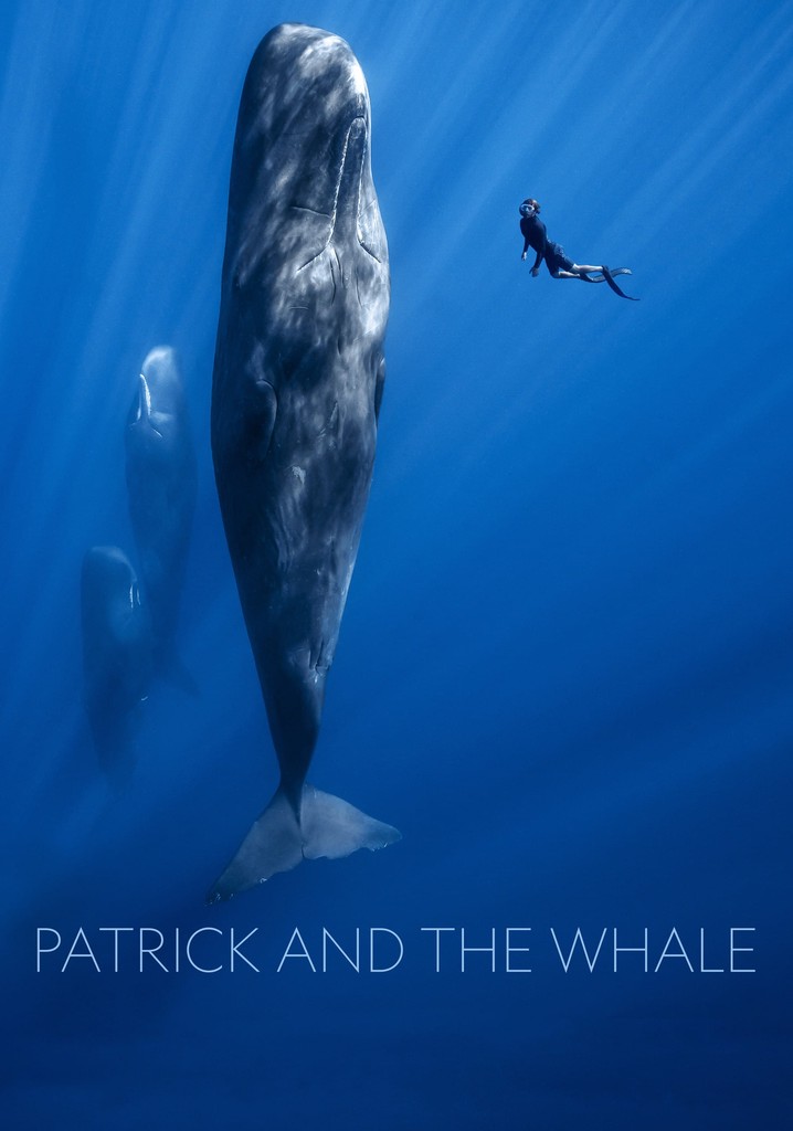 Patrick and the Whale poster