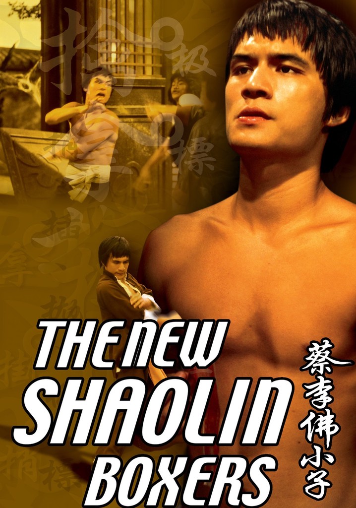 The New Shaolin Boxers poster