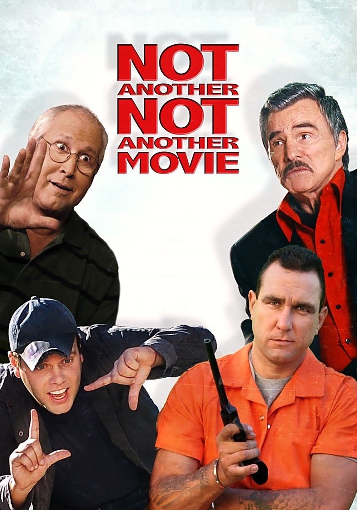 Not Another Not Another Movie poster
