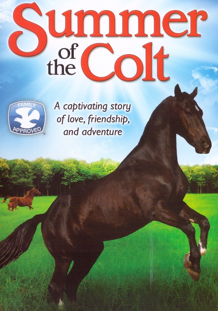 Summer of the Colt poster