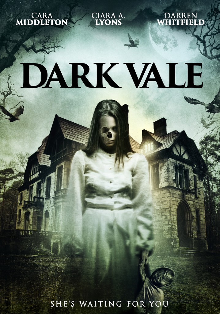 Dark Vale poster