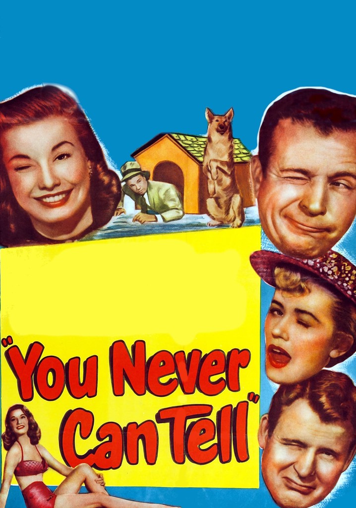 You Never Can Tell poster