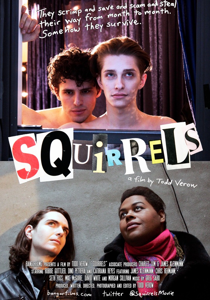 Squirrels poster