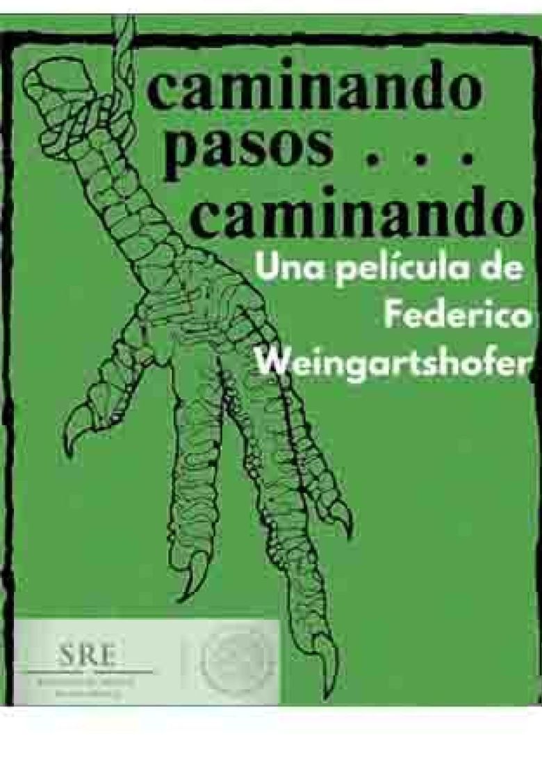 Caminando pasos... caminando poster