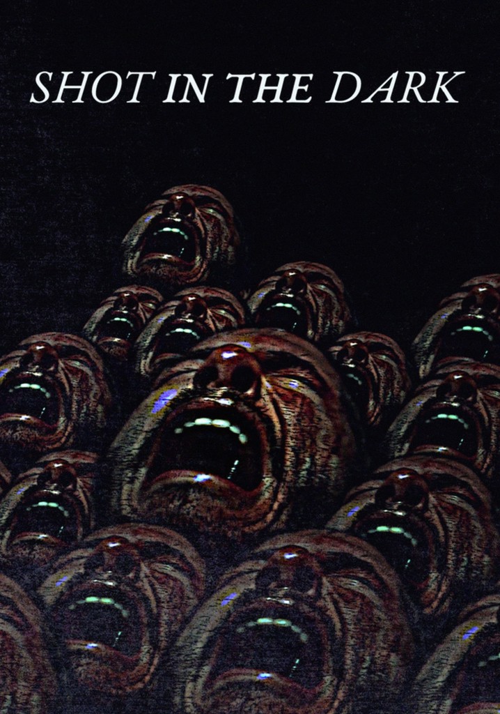 Shot in the Dark poster