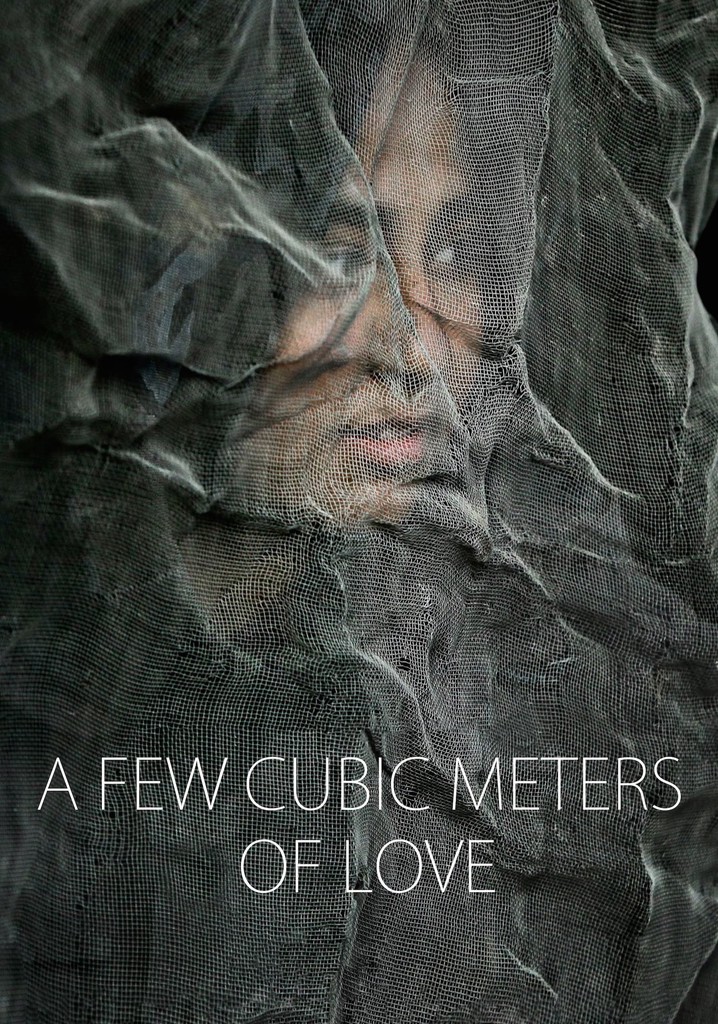 A Few Cubic Meters of Love poster
