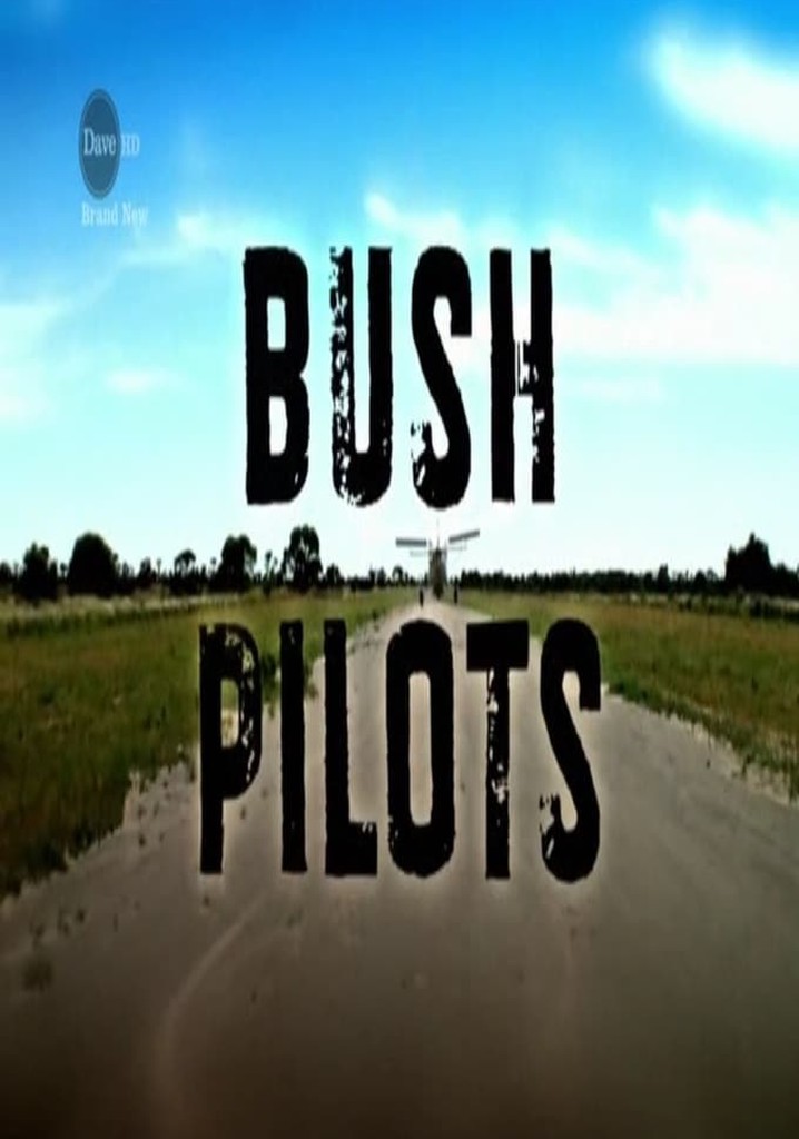 Bush Pilots poster