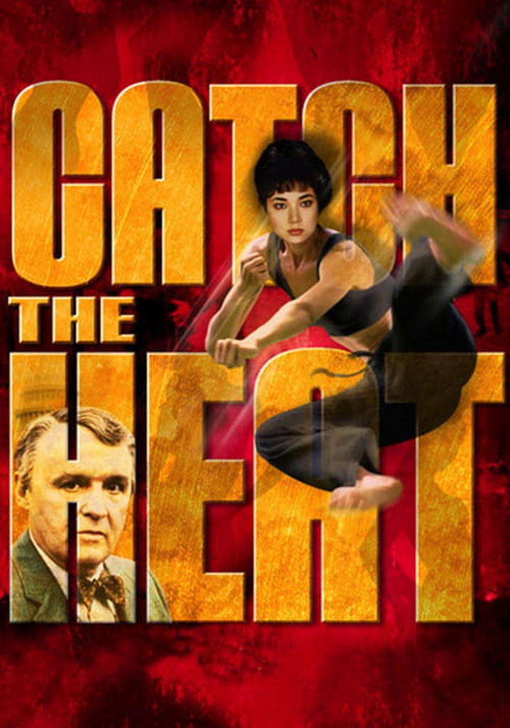 Catch the Heat poster