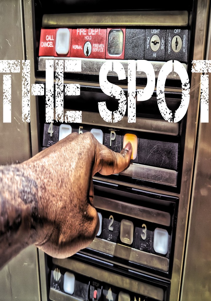 The Spot 313 poster