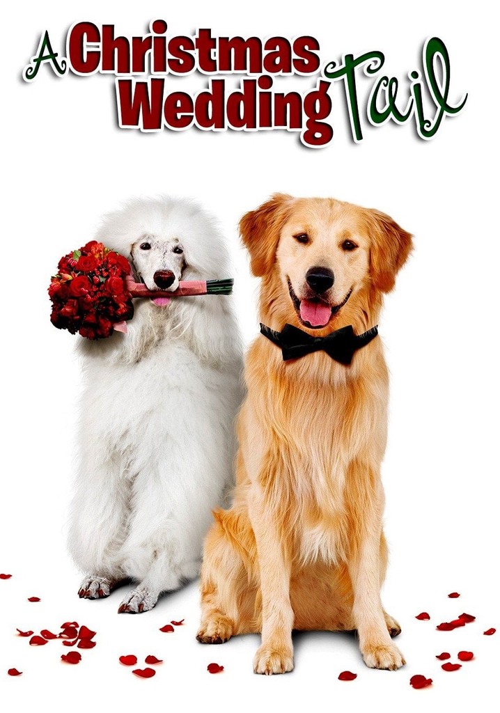 A Christmas Wedding Tail poster