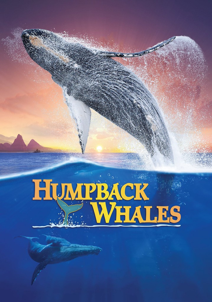 Humpback Whales poster