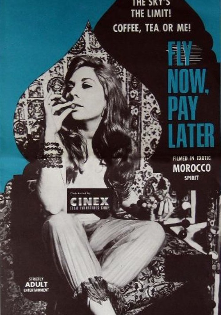 Fly Now, Pay Later poster