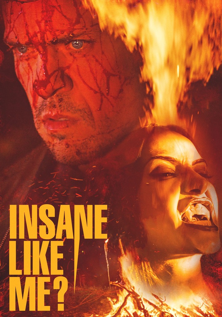 Insane Like Me? poster